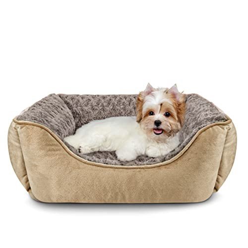 Small Dog Beds