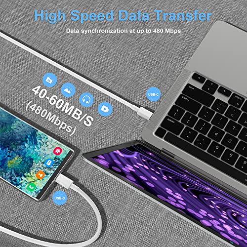 10ft USB-C to USB-C Charging Cable 2-Pack