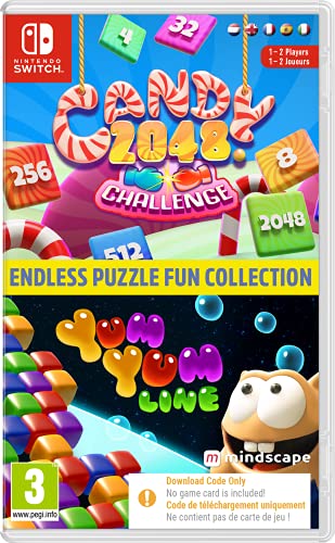 ENDLESS PUZZLE FUN COLLECTION (Nintendo Switch)