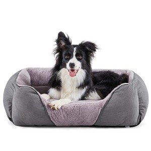 JOEJOY Medium Washable Dog Bed with Support