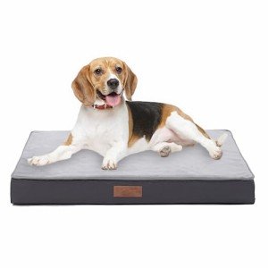 Medium Orthopedic Waterproof Dog Bed in Grey