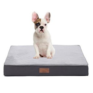 Small Orthopedic Dog Bed with Waterproof Cover