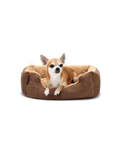Reversible Non-Slip Dog Bed with Pillow, 50x37 cm