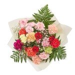 Vibrant Carnation Bouquets for Every Occasion