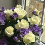 Amethyst Bouquet: Roses and Freesia Fresh Flowers