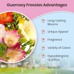 Fresh Mixed Freesia Bouquet - 30 Sweet Scents