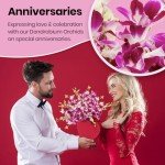 Fresh Singapore Dendrobium Orchids Bouquet with Chocolates