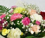 Vibrant Carnation Bouquets for Every Occasion