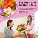 Fresh Mixed Freesia Bouquet - 30 Sweet Scents