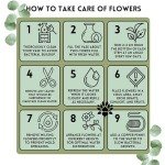 Vibrant Carnation Bouquets for Every Occasion