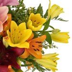 Luxury Asiatic Lily Bouquet with Personalized Card