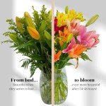 Luxury Asiatic Lily Bouquet with Personalized Card