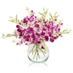 Fresh Singapore Dendrobium Orchids Bouquet with Chocolates