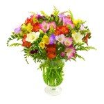 Fresh Mixed Freesia Bouquet - 30 Sweet Scents