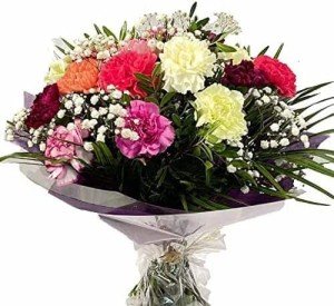 Fresh Carnation Bouquet for Every Occasion