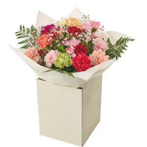 Vibrant Carnation Bouquets for Every Occasion