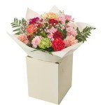 Vibrant Carnation Bouquets for Every Occasion