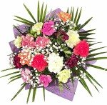 Fresh Carnation Bouquet for Every Occasion