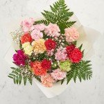 Vibrant Carnation Bouquets for Every Occasion
