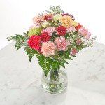 Vibrant Carnation Bouquets for Every Occasion