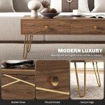 Modern Brown Coffee Table with Storage Drawers
