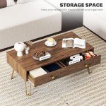 Modern Brown Coffee Table with Storage Drawers