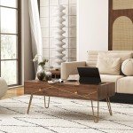 Modern Brown Coffee Table with Storage Drawers