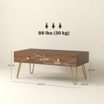 Modern Brown Coffee Table with Storage Drawers