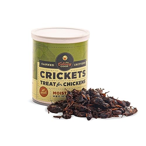Fluker's Coop Canned Crickets: All-Natural & Protein-Packed!