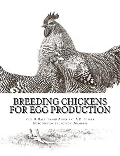 Egg Production Breeding Chickens - Paperback Guide