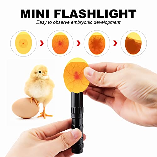 Safego Egg Incubator for Hatching Chicken Quail Duck