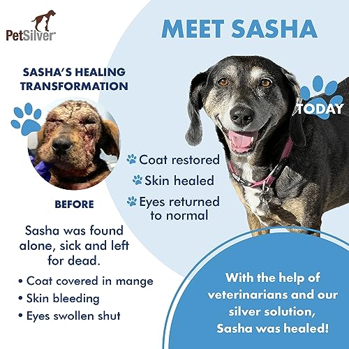 12 oz PetSilver Wound Spray for Chickens