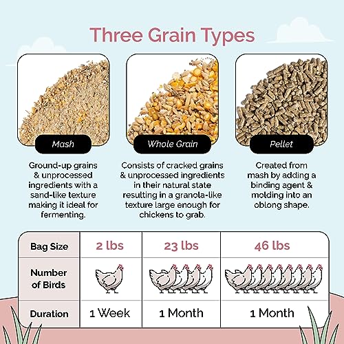 Mile Four Organic Layer Chicken Feed | 100% US Grown | Non-GMO | Corn & Soy-Free | 16% Protein | 46 lbs
