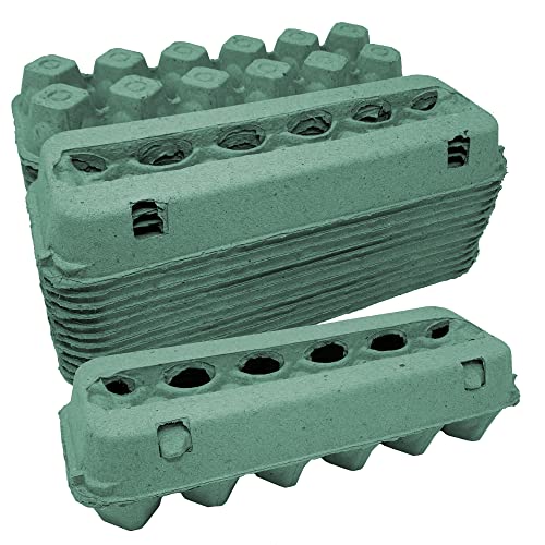 Teal Vented Egg Cartons for Chickens (12)