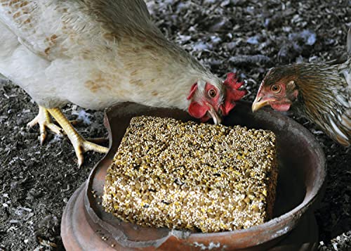 Original Forage Cake for Chickens and Poultry, 13 oz