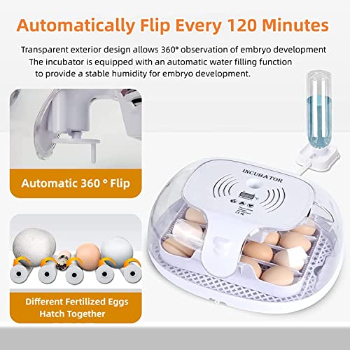 Chickens Incubators: Automatic Hatcher for Various Poultry Eggs