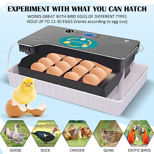Fully Automatic Egg Incubator for Hatching Poultry