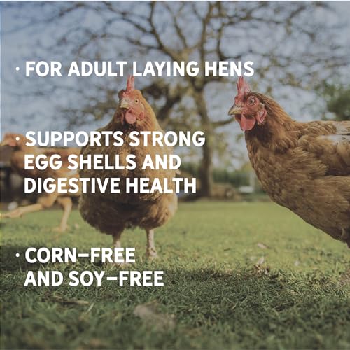 Country Organics Layer Feed | Corn-Free, Soy-Free | 17% Protein | Organic, Non-GMO | 25 lbs