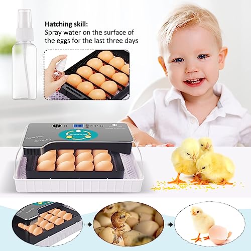 Fully Automatic Egg Incubator for Hatching Poultry