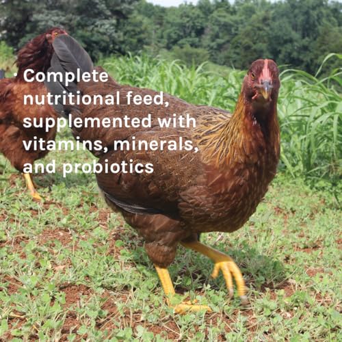Country Organics Layer Feed | Corn-Free, Soy-Free | 17% Protein | Organic, Non-GMO | 25 lbs
