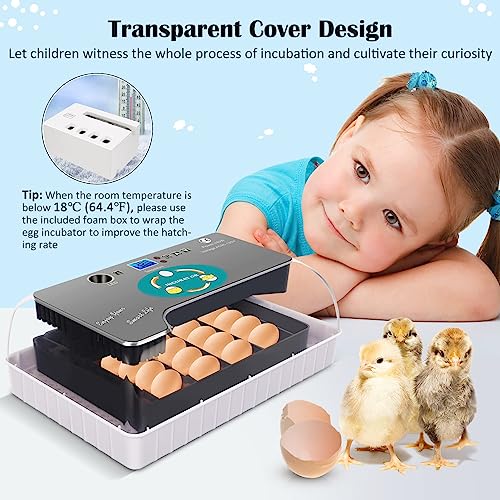 Fully Automatic Egg Incubator for Hatching Poultry