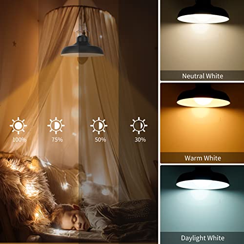 Solar Chicken Coop Pendant Light with Remote Control