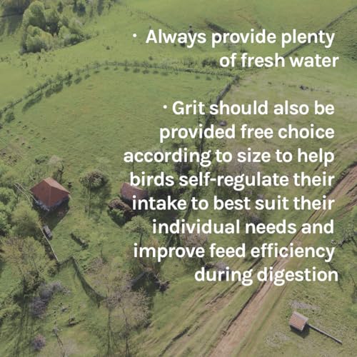 Country Organics Layer Feed | Corn-Free, Soy-Free | 17% Protein | Organic, Non-GMO | 25 lbs