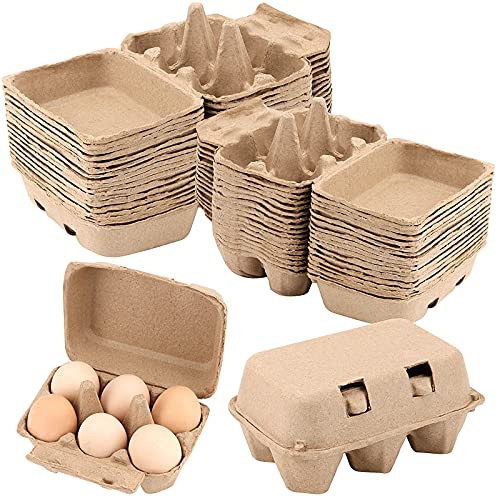 40 Pack Egg Cartons, 6 Cell Chicken Egg Organizer