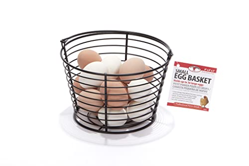 USA Made Small Wire Egg Basket