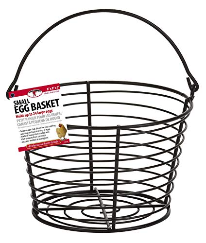 USA Made Small Wire Egg Basket
