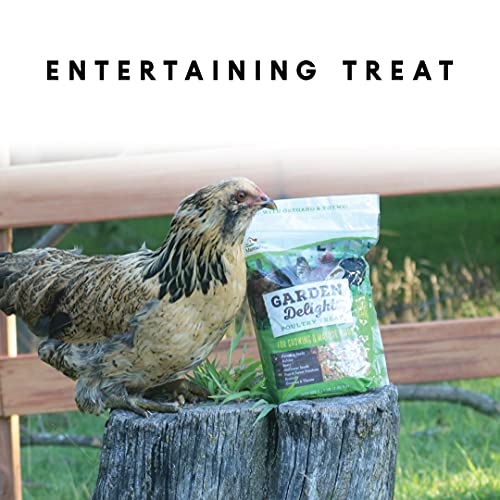 Garden Delight Chicken Treats - Poultry Coop Snack