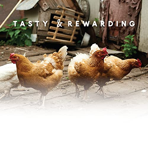 Garden Delight Chicken Treats - Poultry Coop Snack