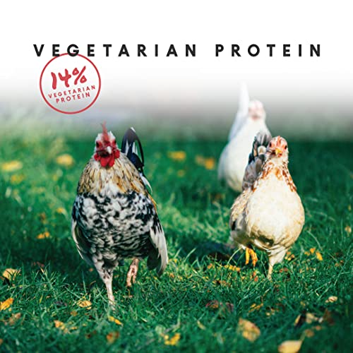 Manna Pro Harvest Delight - Mixed Flock Chicken Treat