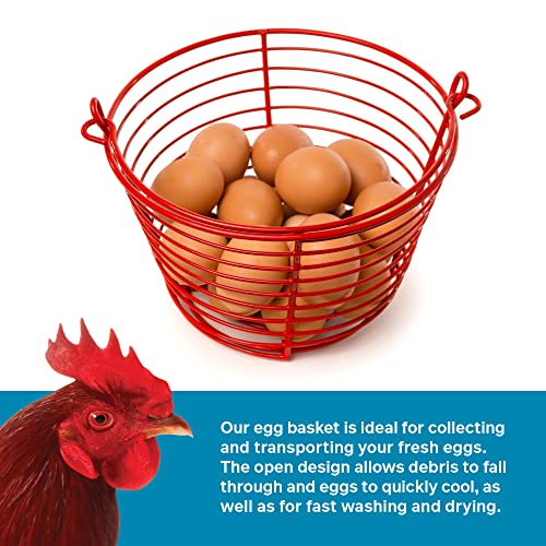 Prevue 8" Red Egg Basket for Chickens